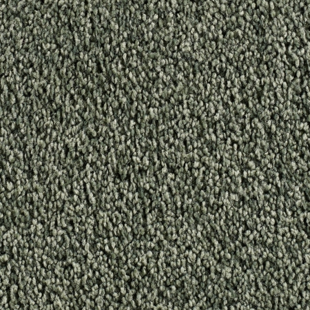 Frisé - Manduro - 027